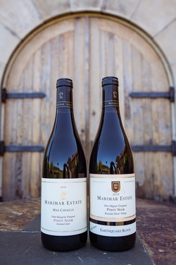 The Pinot Chronicles