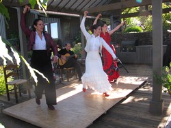 Flamenco Club Marimar Event