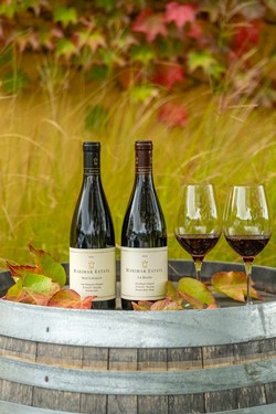 Harvest Pinot Mix - 4bt