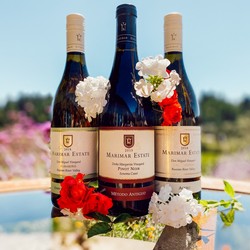 Summertime Sippers