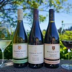 A Taste of Spain & Sonoma