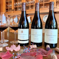 La Masía Pinot Noir: A Vertical